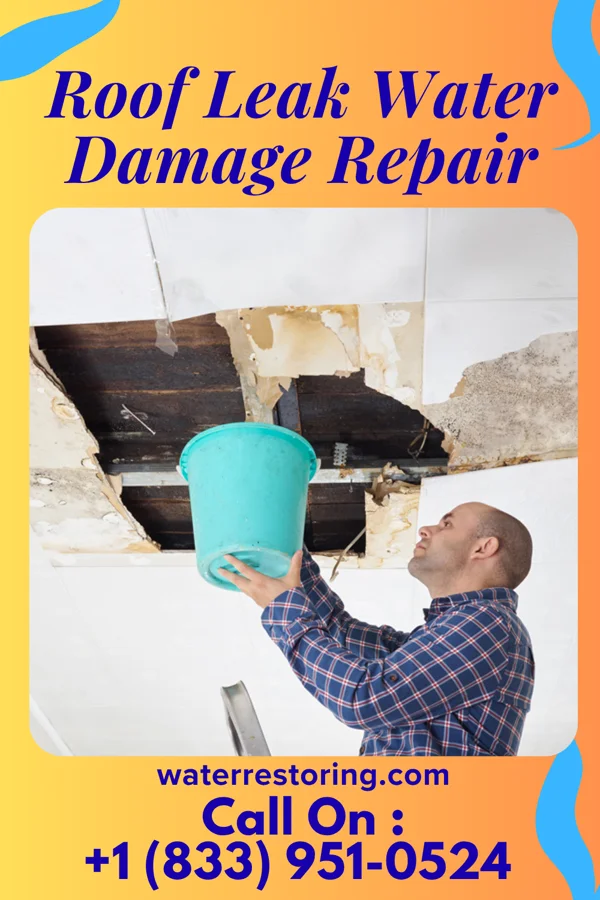 Roof Leak Water Damage Repair in Lochsloy, WA